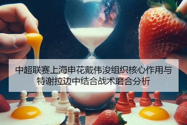 中超联赛上海申花戴伟浚组织核心作用与特谢拉边中结合战术磨合分析